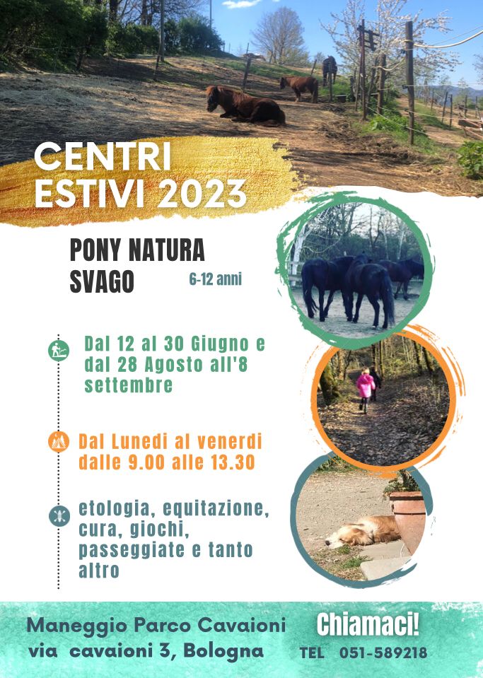 Campi estivi 2023