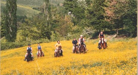 equitazione in campagna