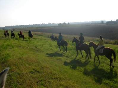 argine po passeggiata