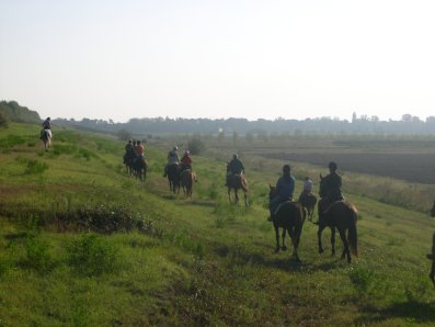 argine po passeggiate cavalli