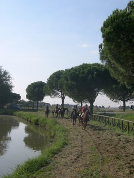 canale di torre abate