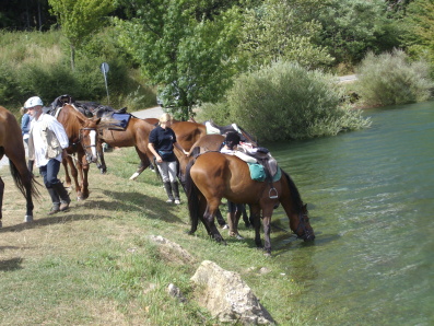 abbeveraggio al lago brasimone cavalli