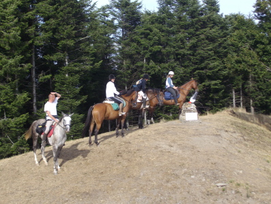 abetaia di Poggio di Petto