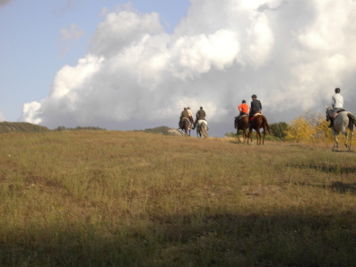 colli passeggiate cavalli