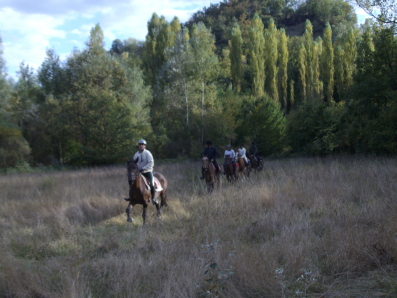 al galoppo verso casa