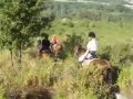 Cavalieri e viandanti tra
Bologna e il Brasimone